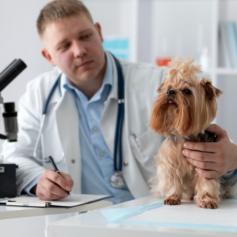 pet-besleme-biliminde-yeni-donem-icerik-etiketinden-laboratuvar-dogrulamasina